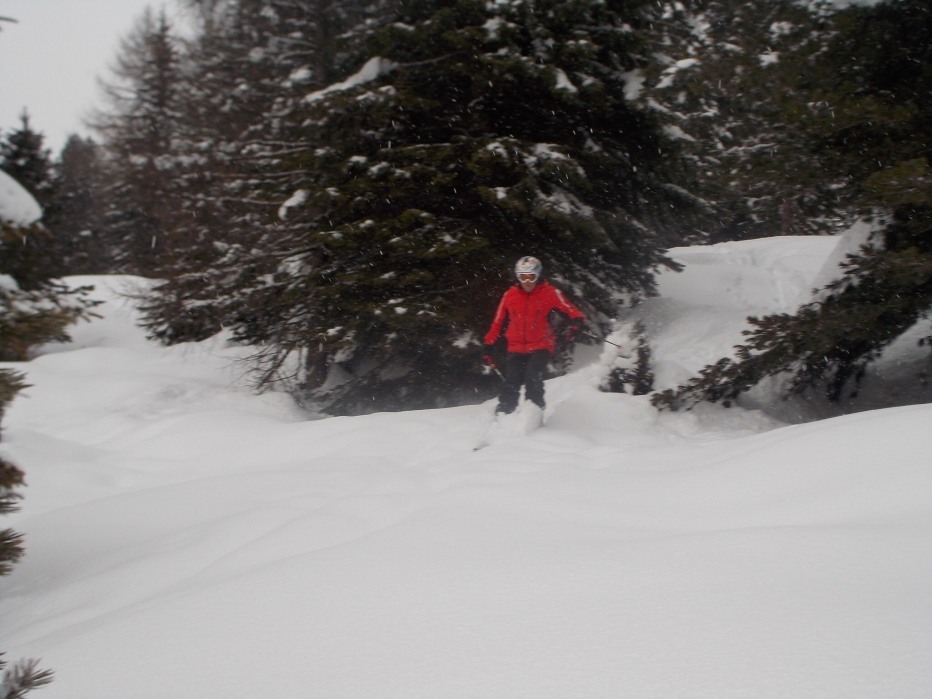 116069-image.jpg