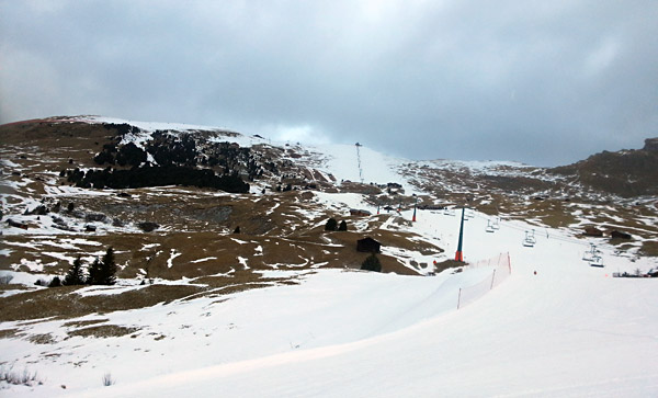 119169-seceda1.jpg