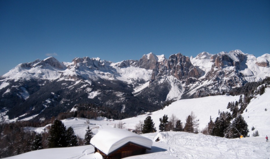 120088-image.jpg