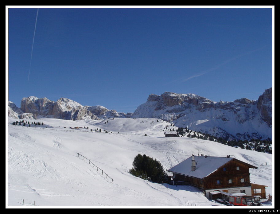 1239-wlf-skiarea.jpg