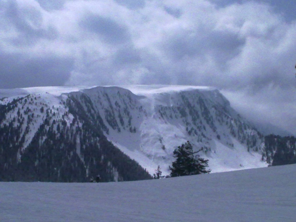 128661-5e52f84dbb0b8213a4a0d1cf617d5597.jpg
