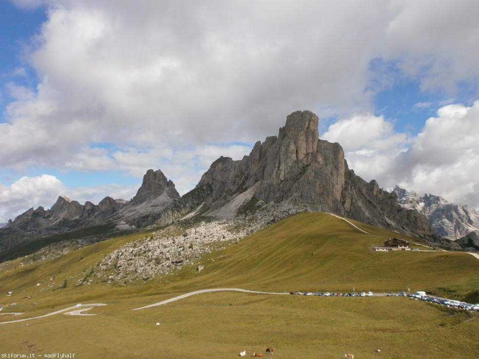 129530-p8242753.jpg