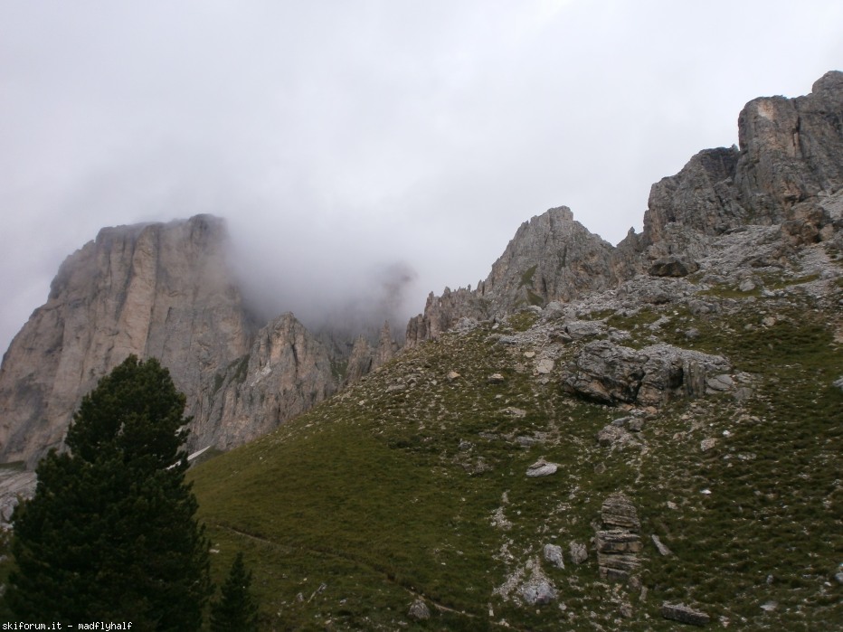 129925-p8222687.jpg