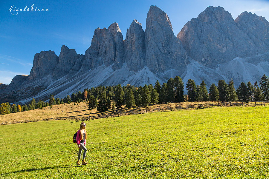 132116-prati-glatsch-alm.jpg