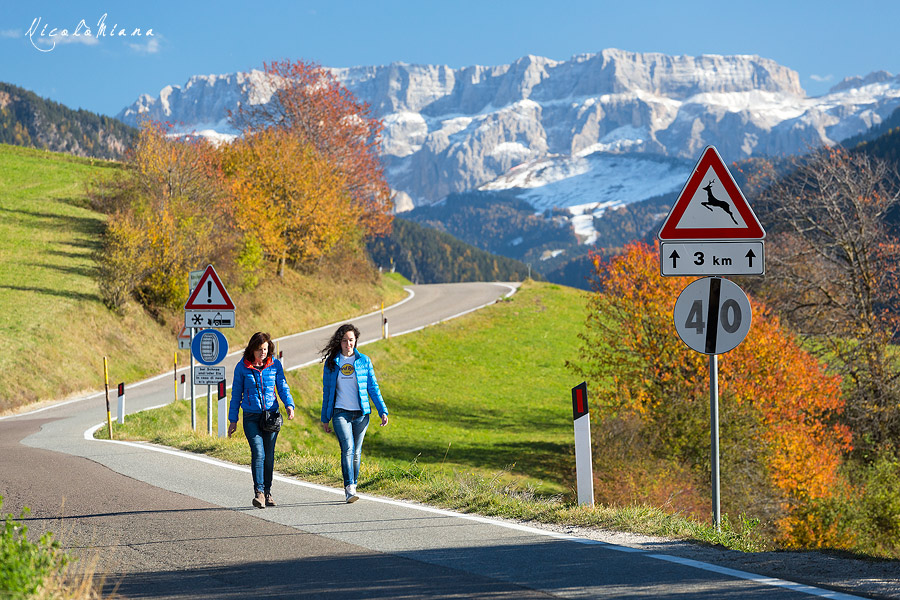 132681-passeggiata-autunno-sudtirol.jpg
