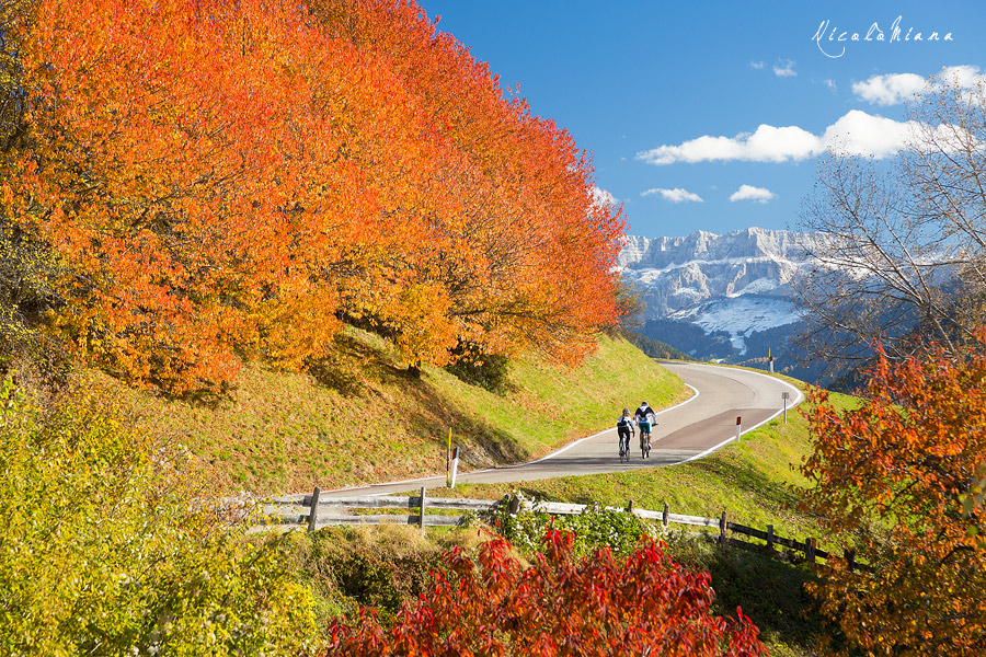 132682-bici-autunno-alto-adige.jpg