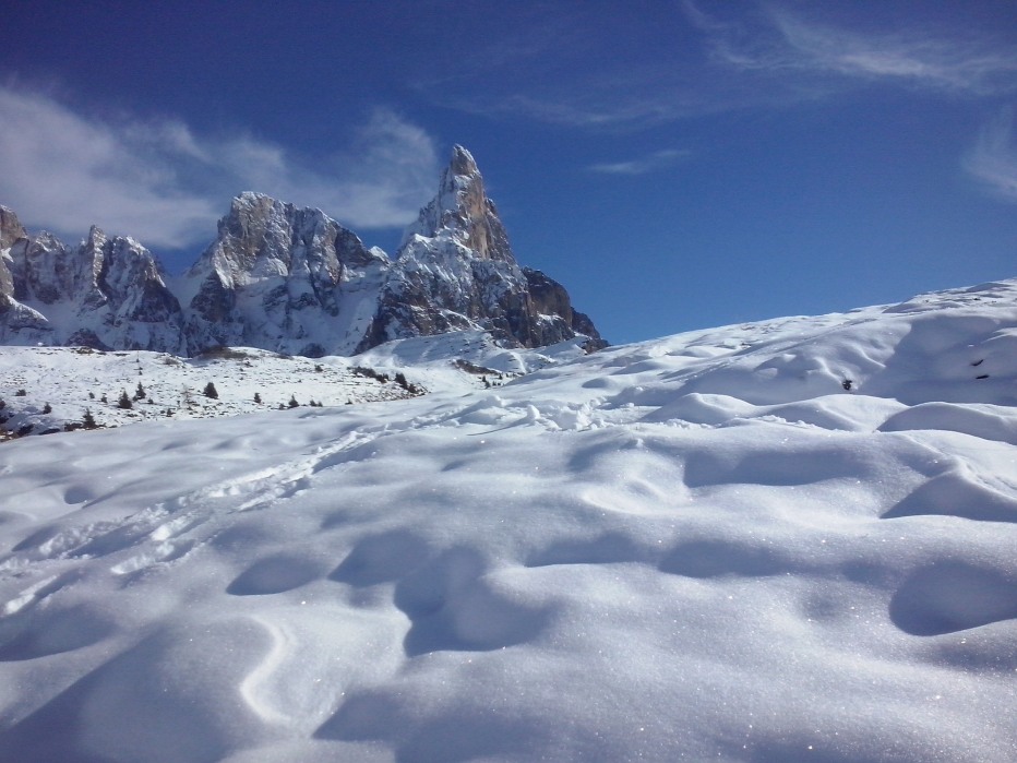 134117-cam00629.jpg
