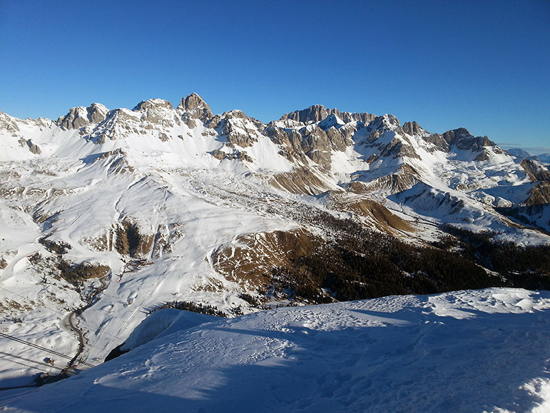 137722-pellegrino01.jpg