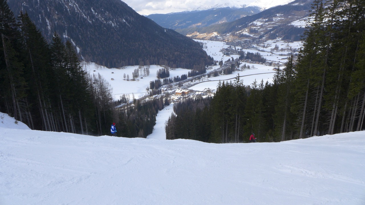 140664-holzriese.jpg