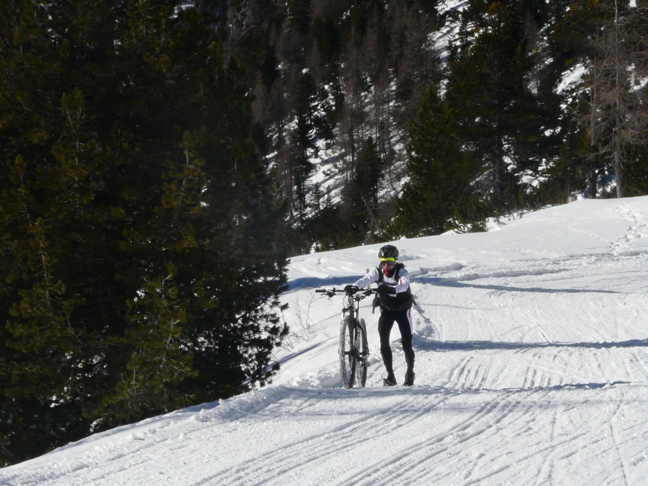 141304-p1450003.jpg