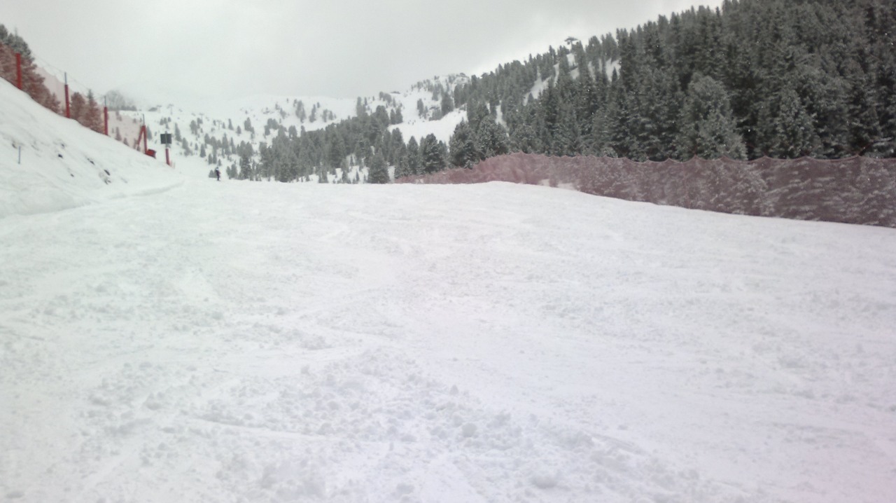 143513-2015-03-22-1095.jpg