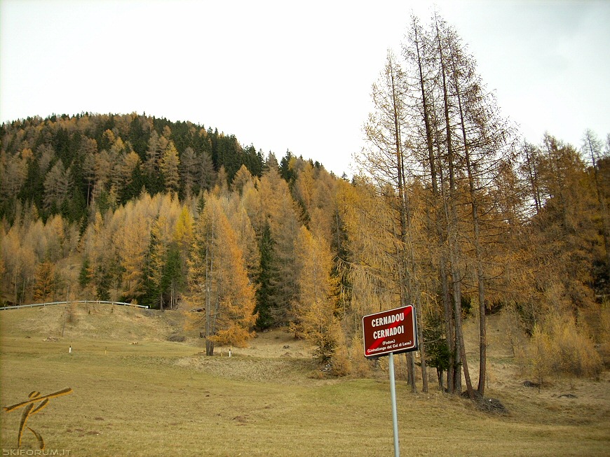 14485-autunno.jpg