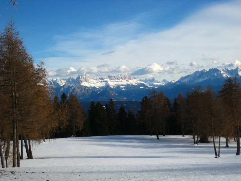14643-rosengarten.jpg