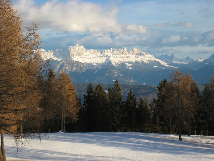 14658-ombrelunghe.jpg