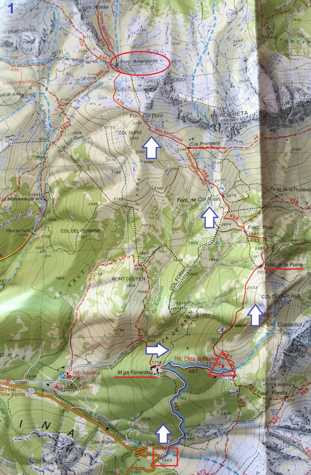 149475-img1229.jpg