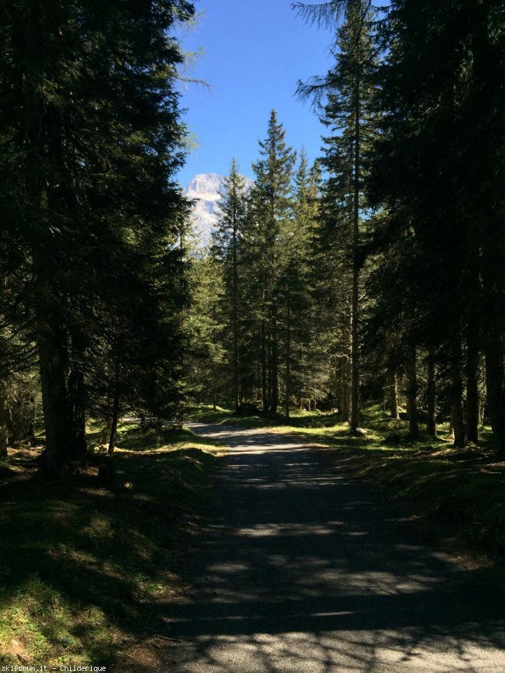 149511-img1349.jpg