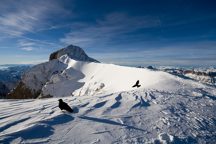 15464-gracchi-alta-quota.jpg