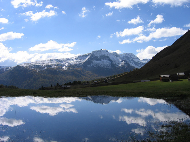 15623-col-margherita.jpg