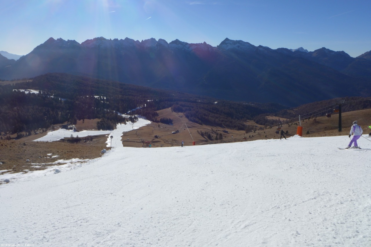 156619-p1170587.jpg