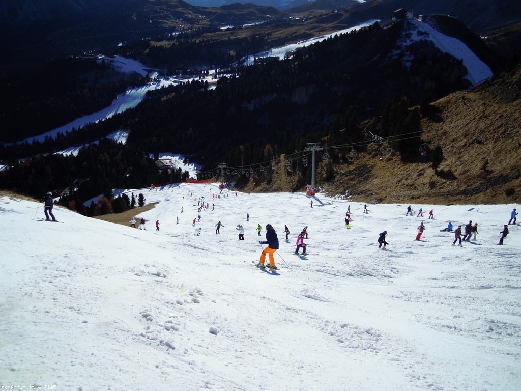 156833-dscn5086.jpg