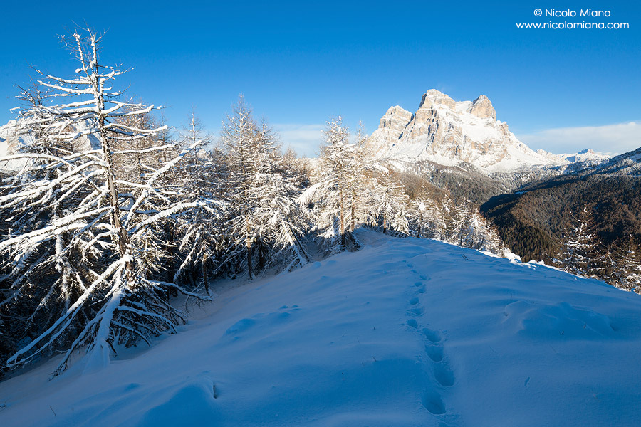 159582-pic-111.jpg