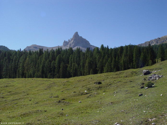 1648-07-alpe-malga-federa.jpg