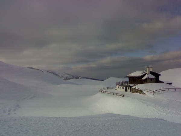 16560-foto.jpg