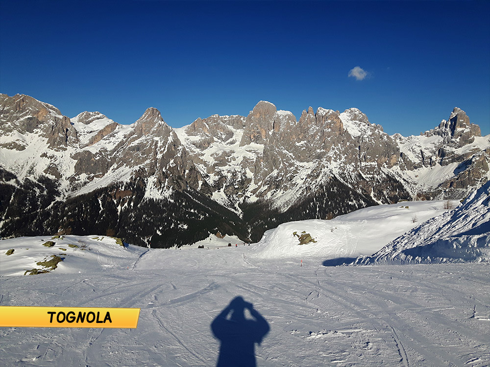 165631-tognola04.jpg