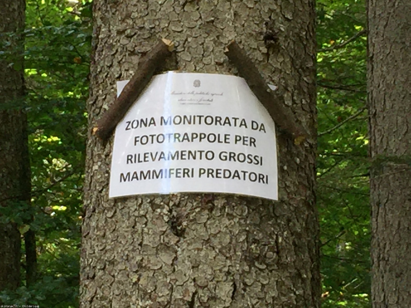 172845-img3229.jpg