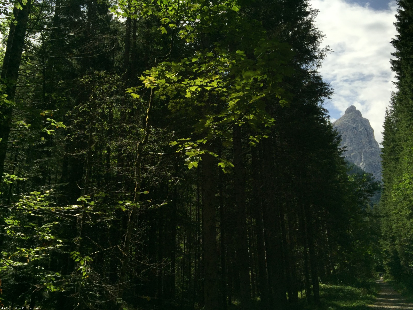172854-img3324.jpg