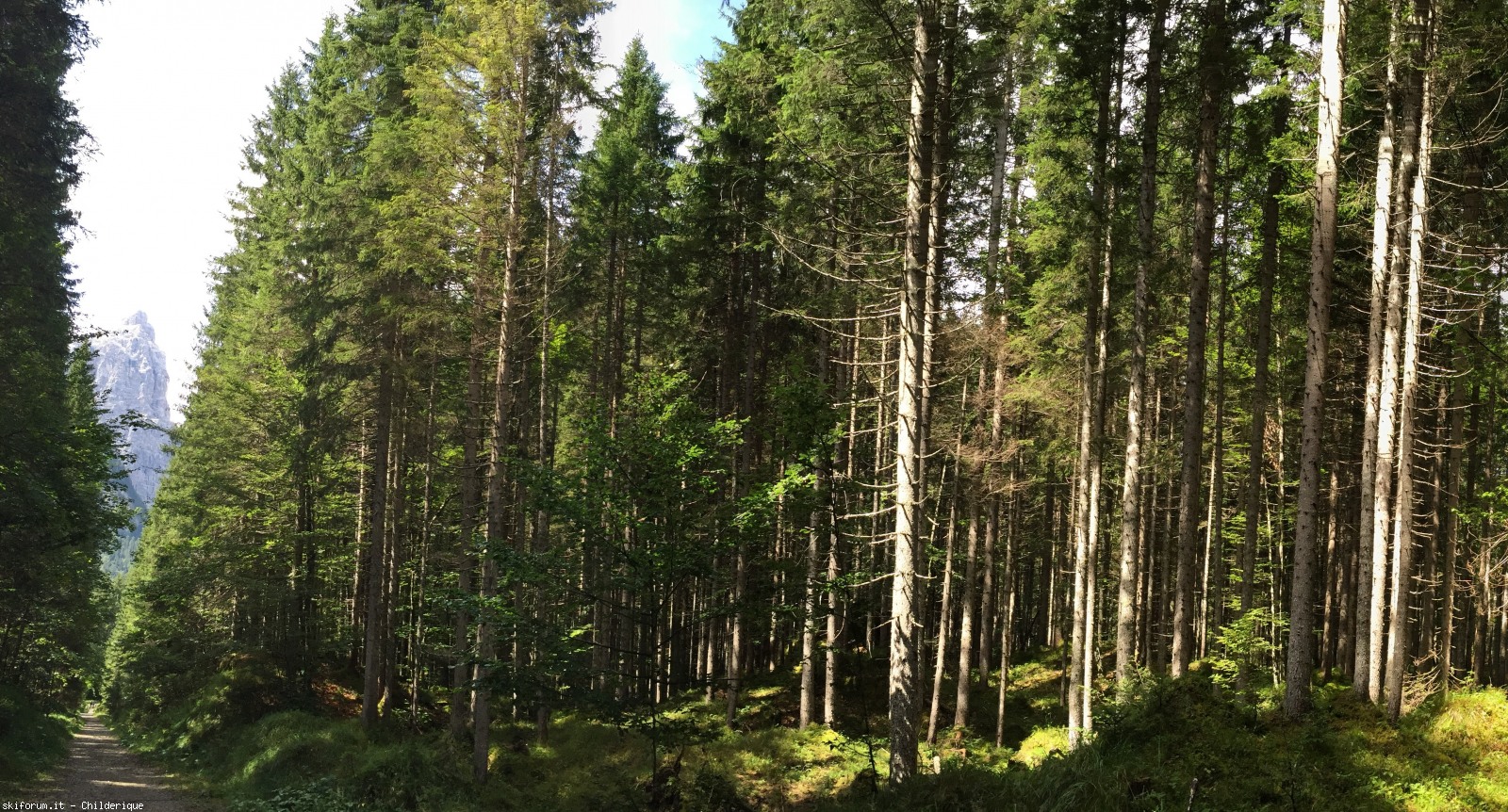 172864-img3315a.jpg