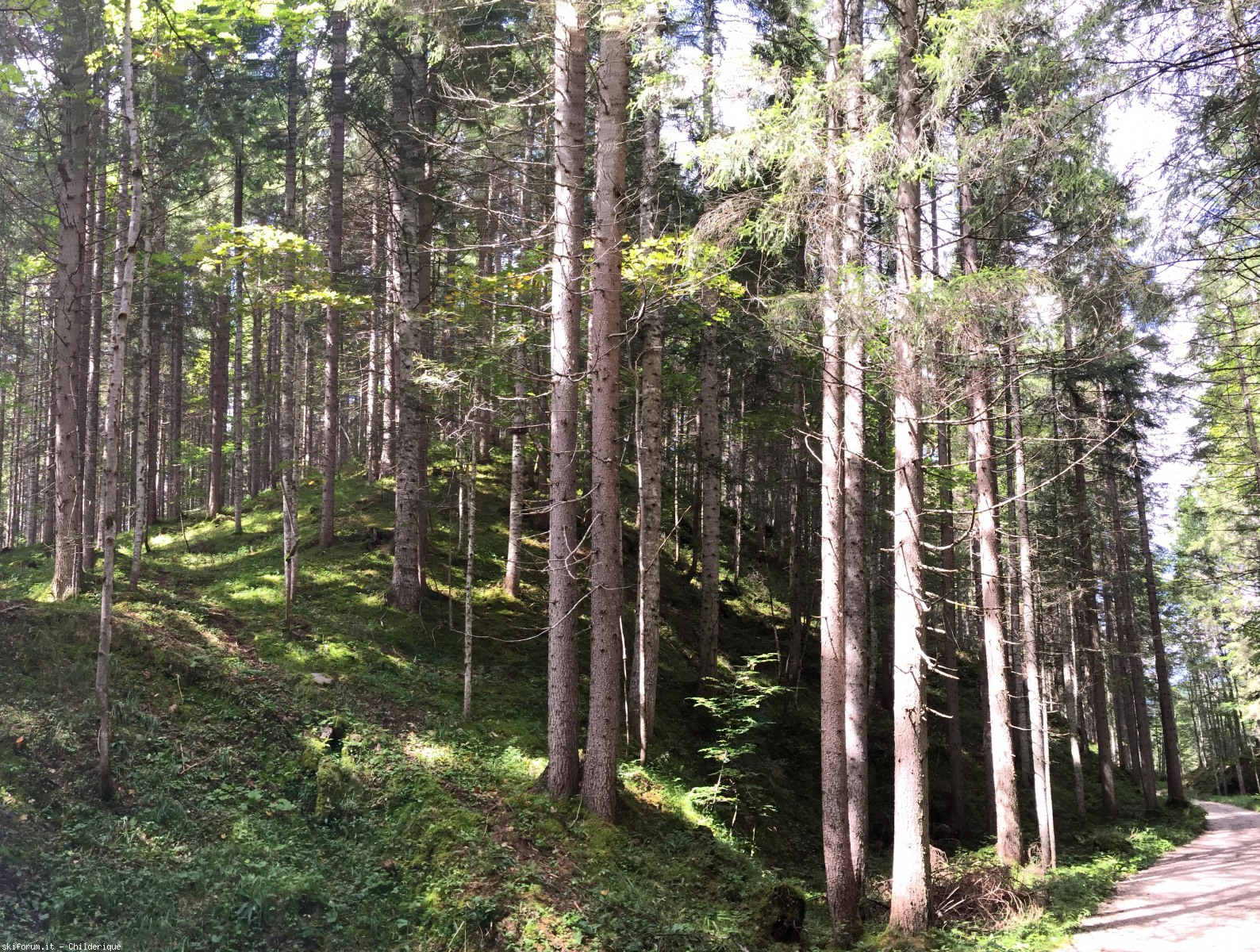 172865-img3299a.jpg