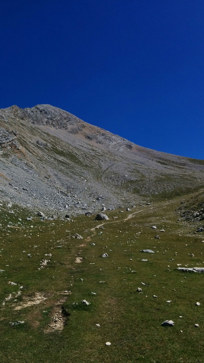 173733-erba.jpg