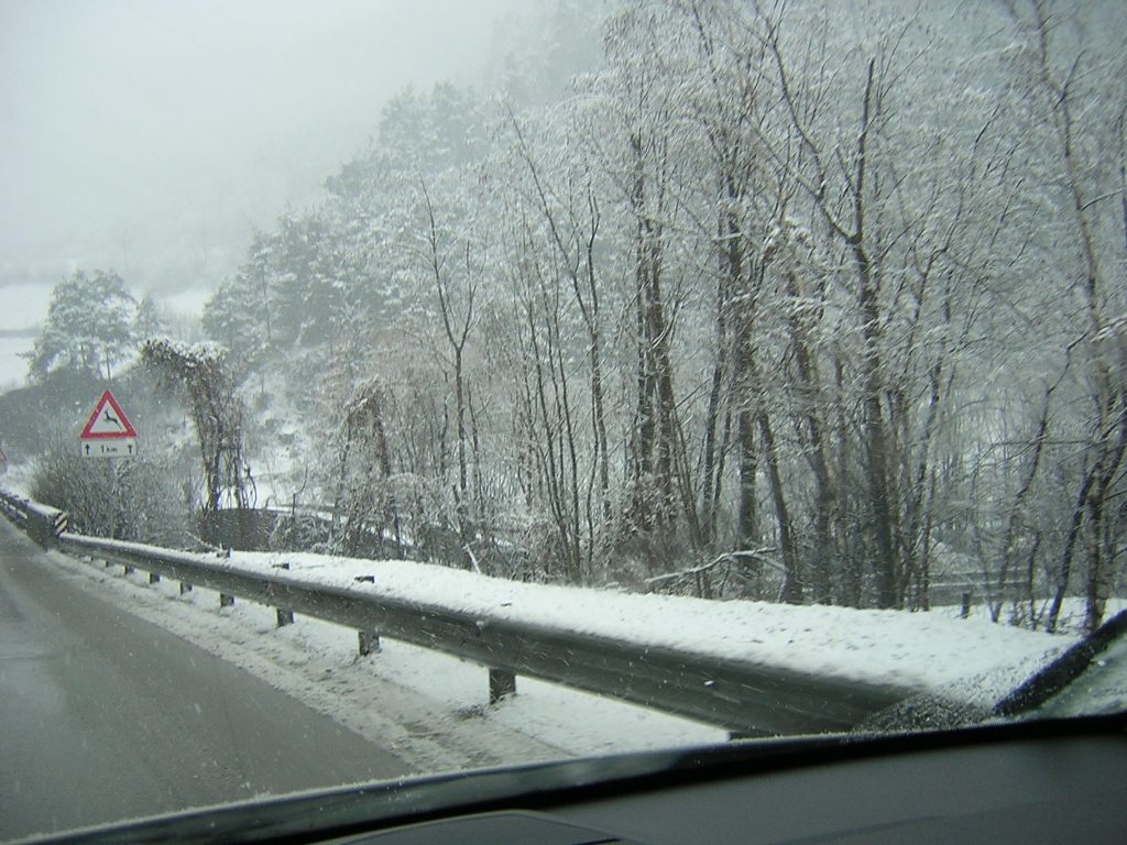 17648-dscn1849a.jpg