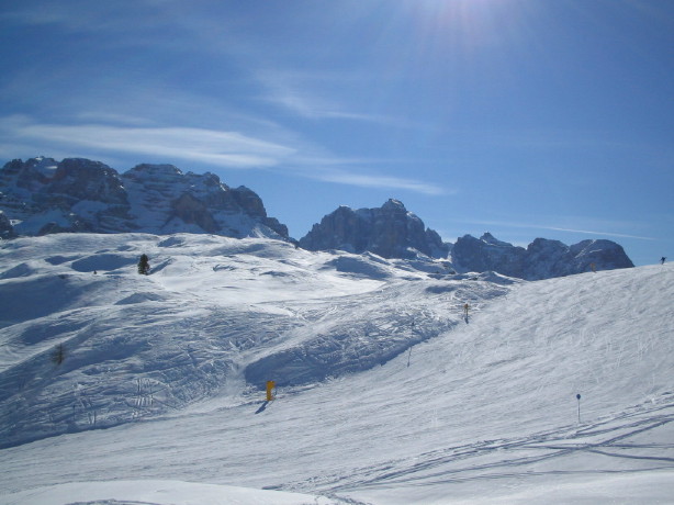 18544-img345681.jpg