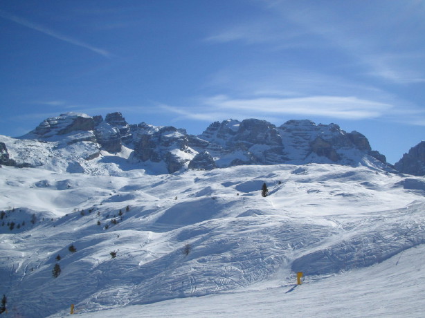 18545-img345791.jpg