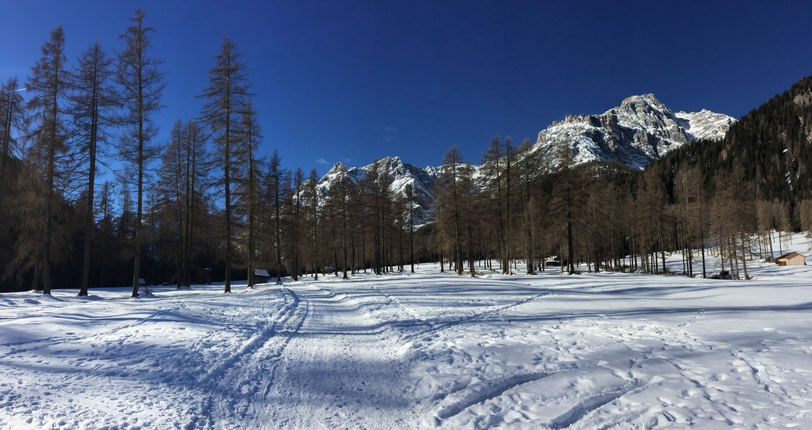 188251-img4623d.jpg