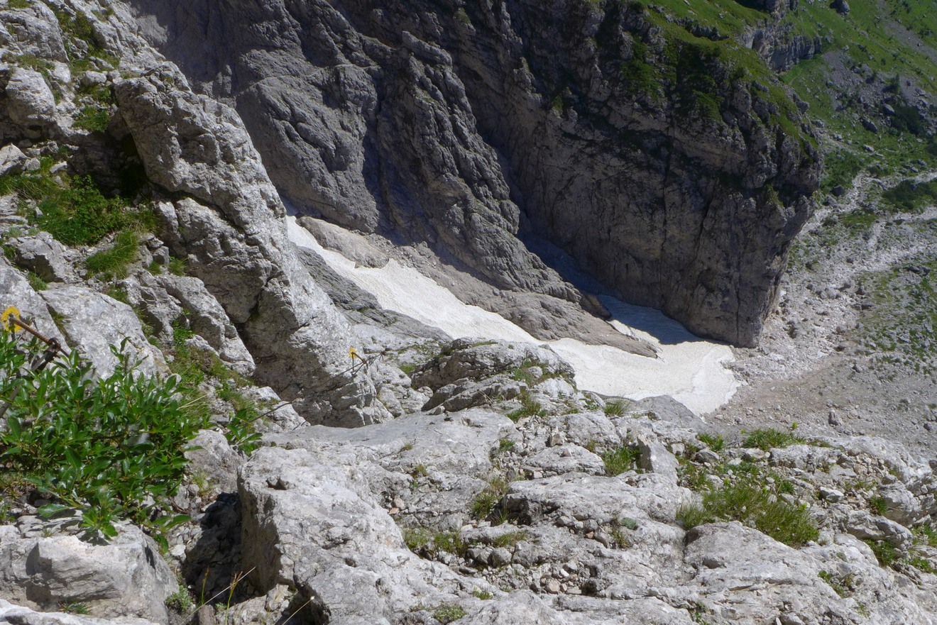 194247-ferrata-stella-alpina-foto.jpg