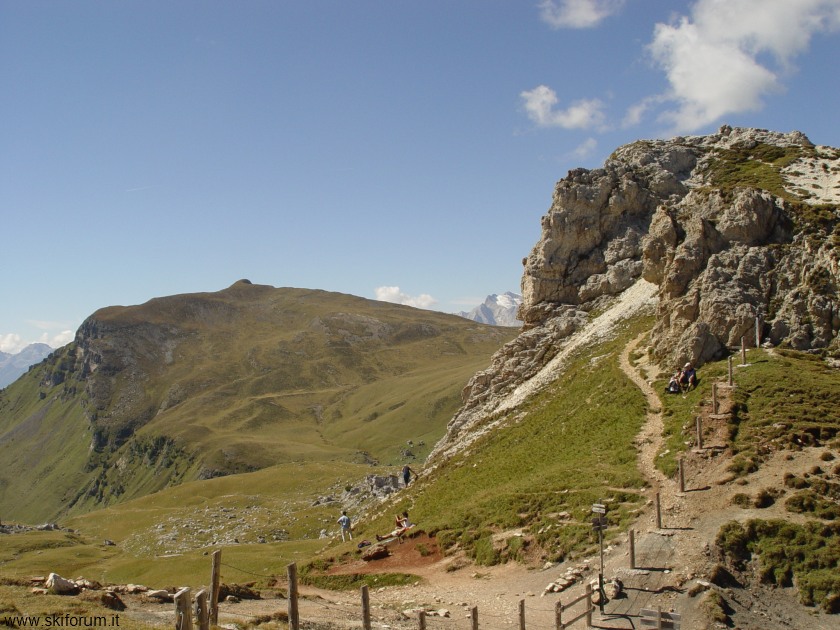 1959-forcella-ambrizola-mtb.jpg