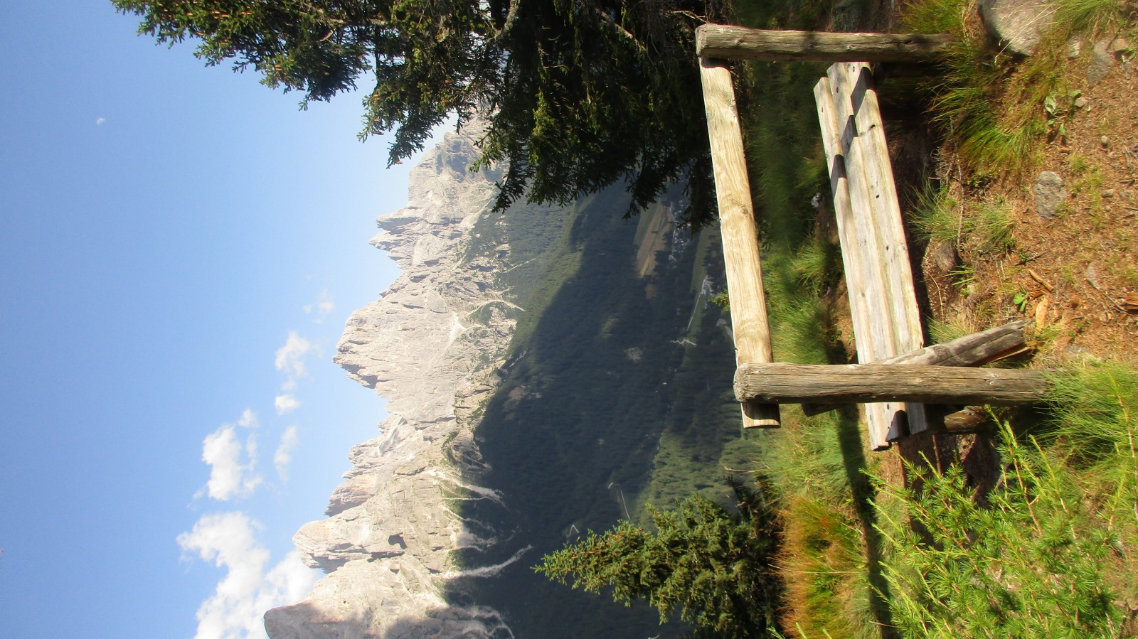 198446-img4324.jpg