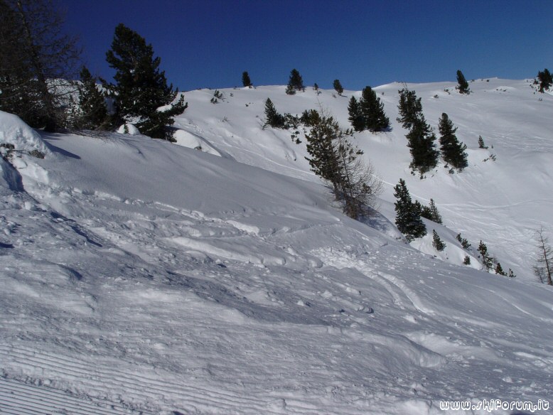 2038-freeride-faloria-2.jpg