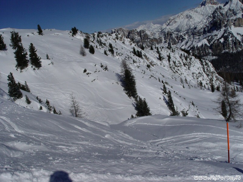 2039-freeride-faloria-3.jpg