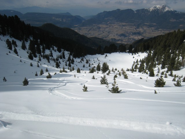 20489-cermis.jpg