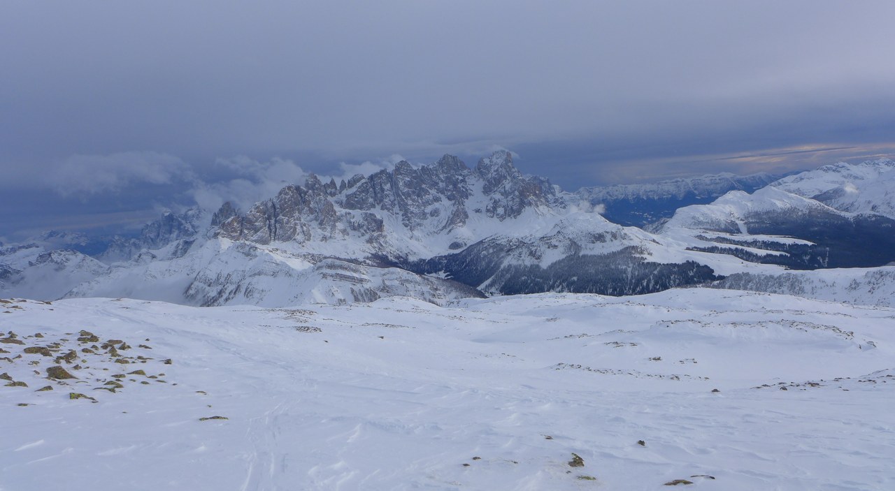 205142-spalla-parte-alta-iuribrutto.jpg