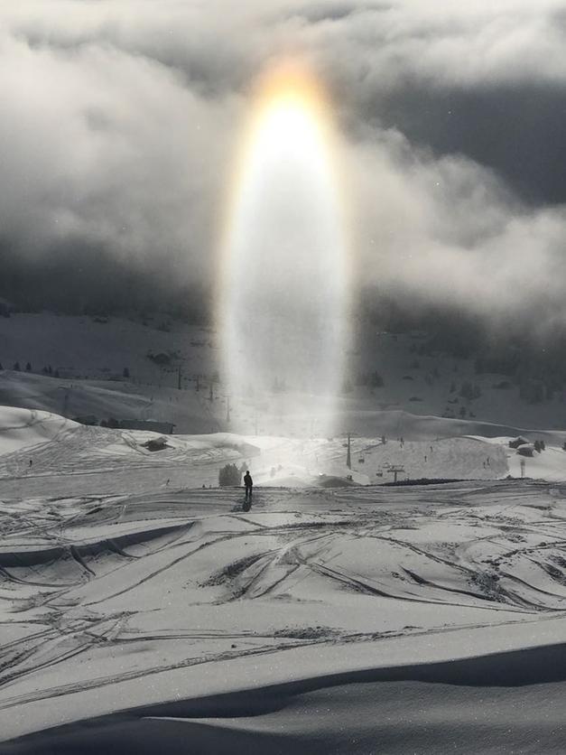 207046-seceda-10.01.2018.jpg