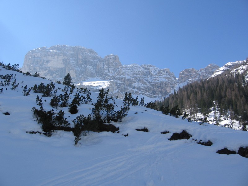 21519-verso-cima-piatta-alta.jpg