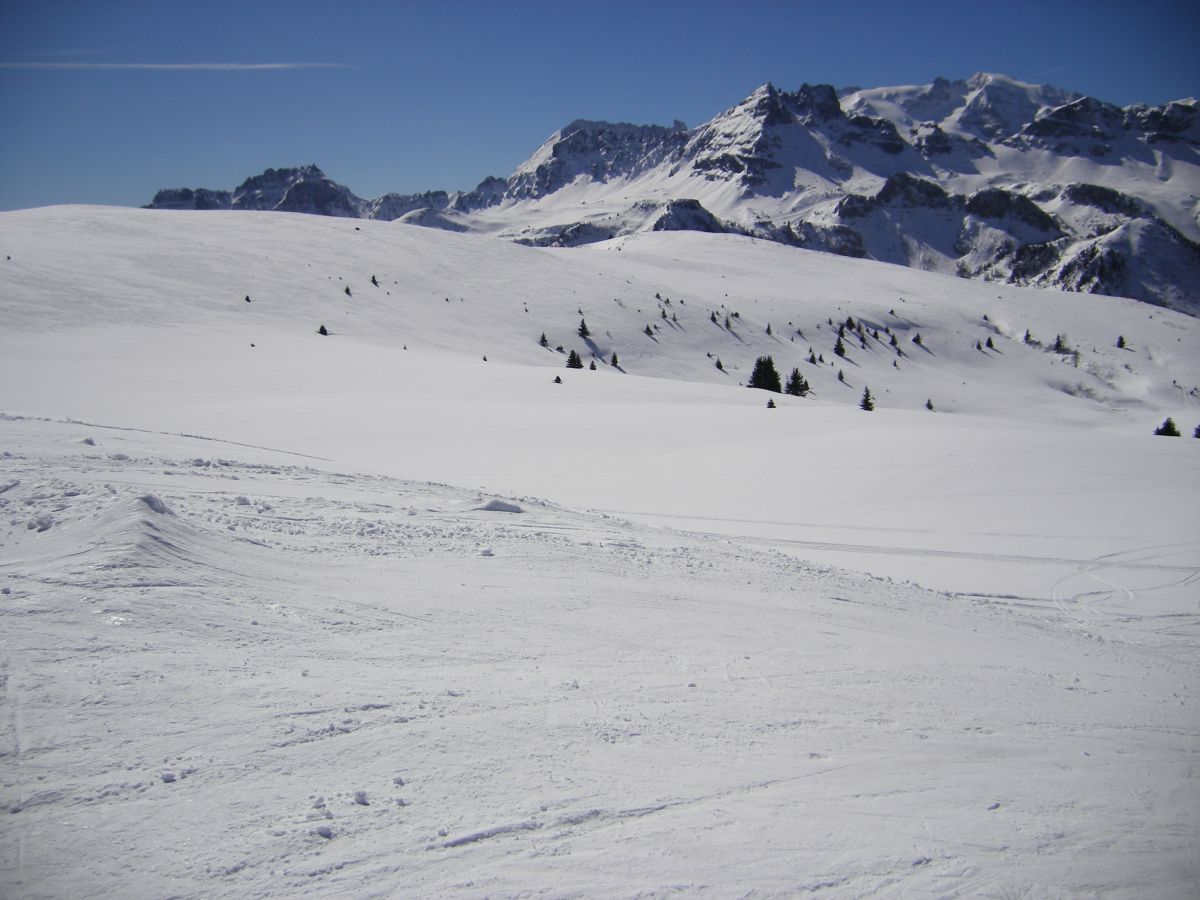 21831-imgp1193.jpg