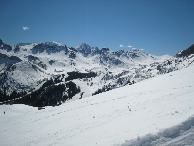 22412-1.jpg