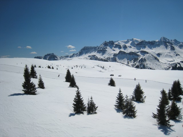 22421-10.jpg