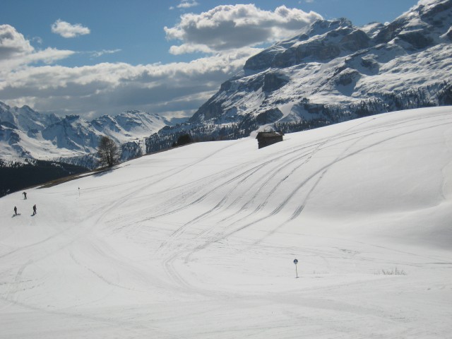 22422-11.jpg